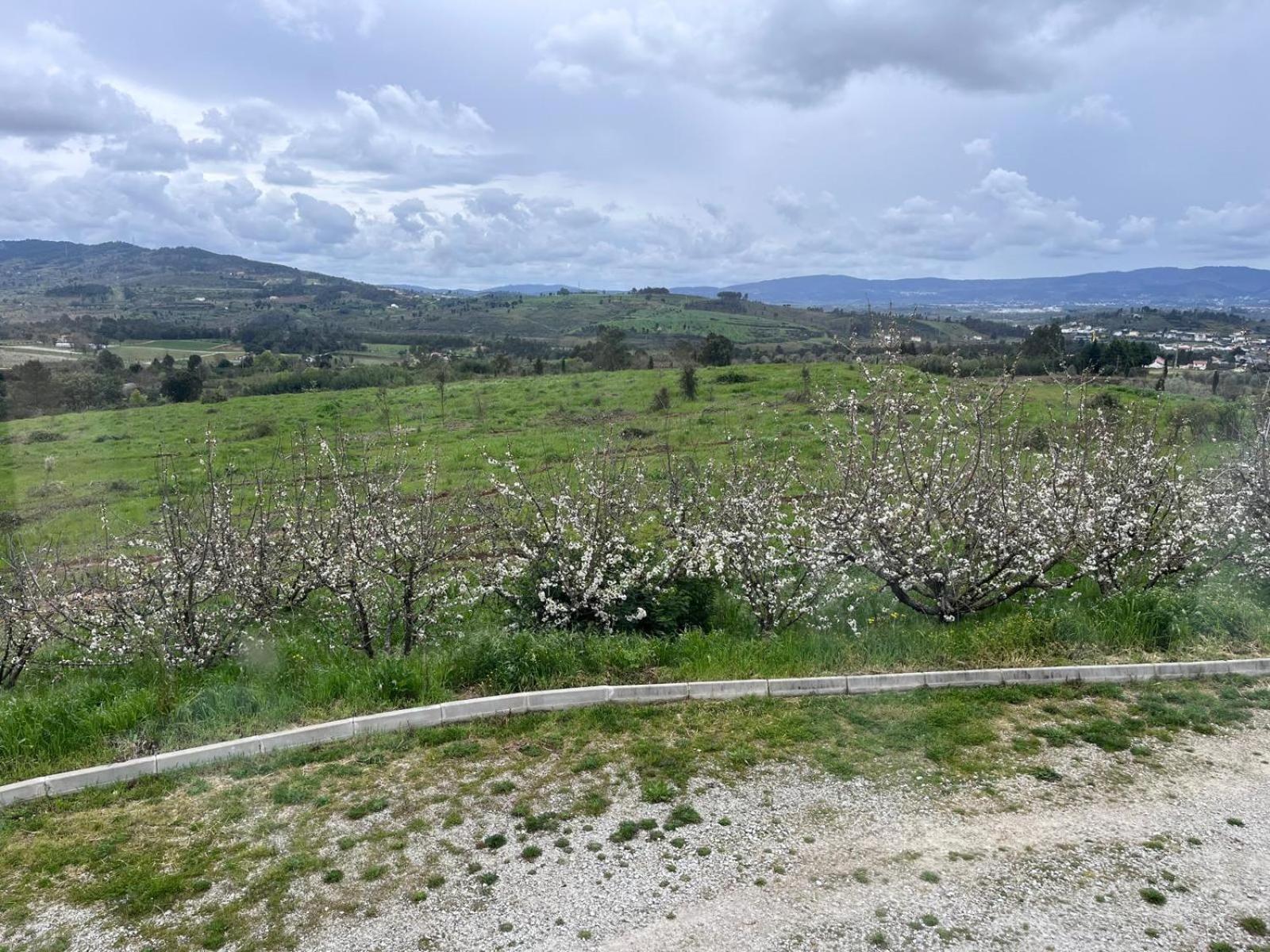 Tranca Da Barriga - Casa Do Vinho By Quinta De Sao Tiago Villa Covilha Ngoại thất bức ảnh